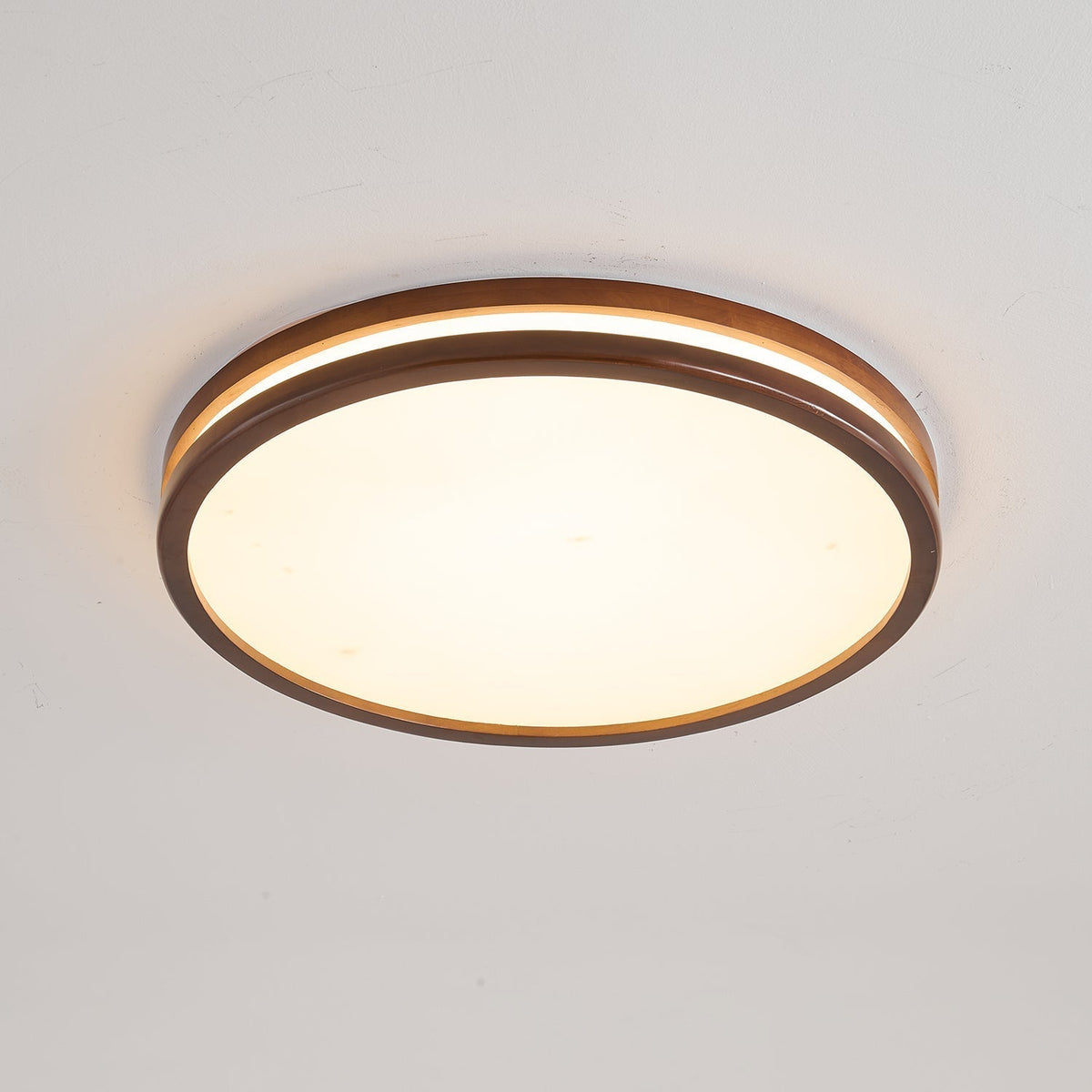 Cirro Ceiling Light
