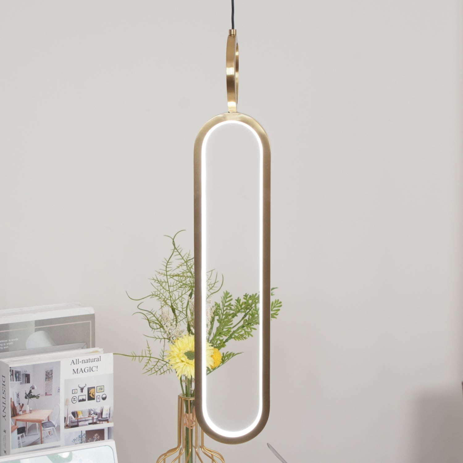 Oval Rings Houselight Pendant Light