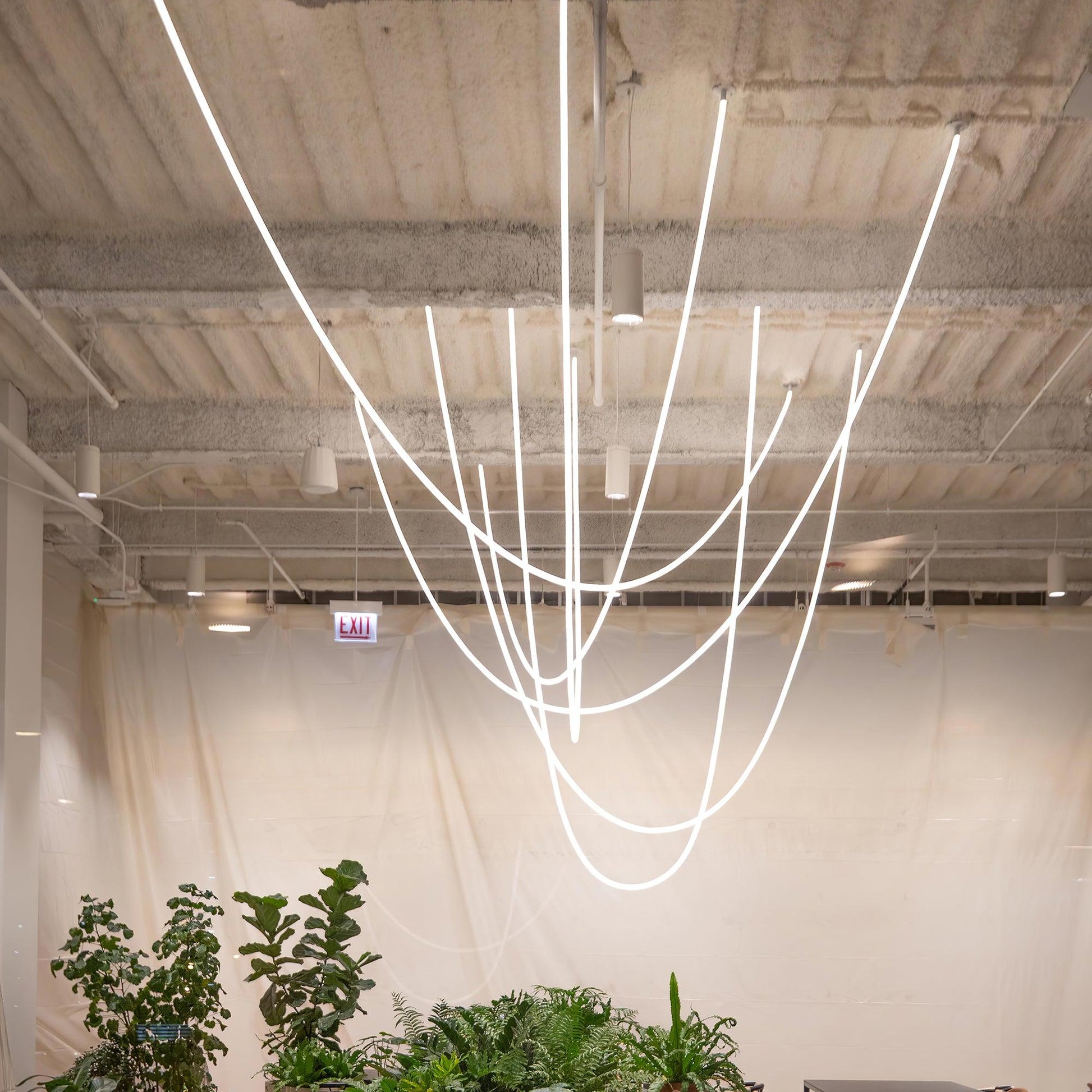 Flexible Curve Droplight Pendant Lamp