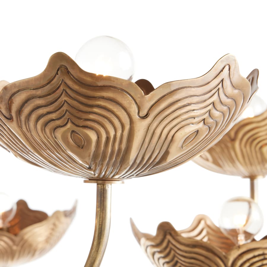 Arteriors Encinitas 8 Light 58" Wide Chandelier