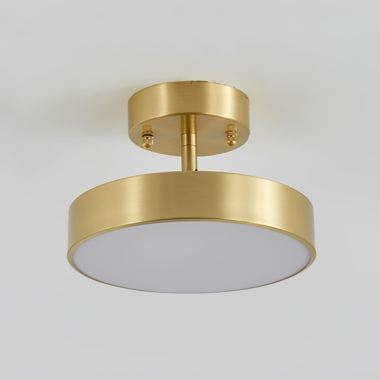Bravion Pivot Ceiling Spotlight