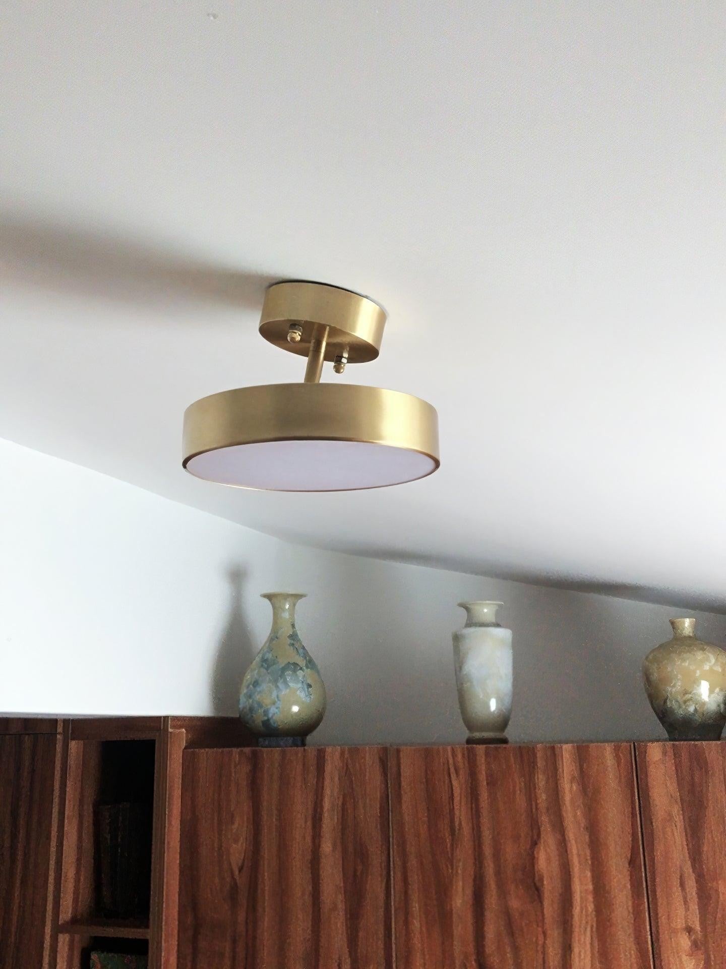 Bravion Pivot Ceiling Spotlight