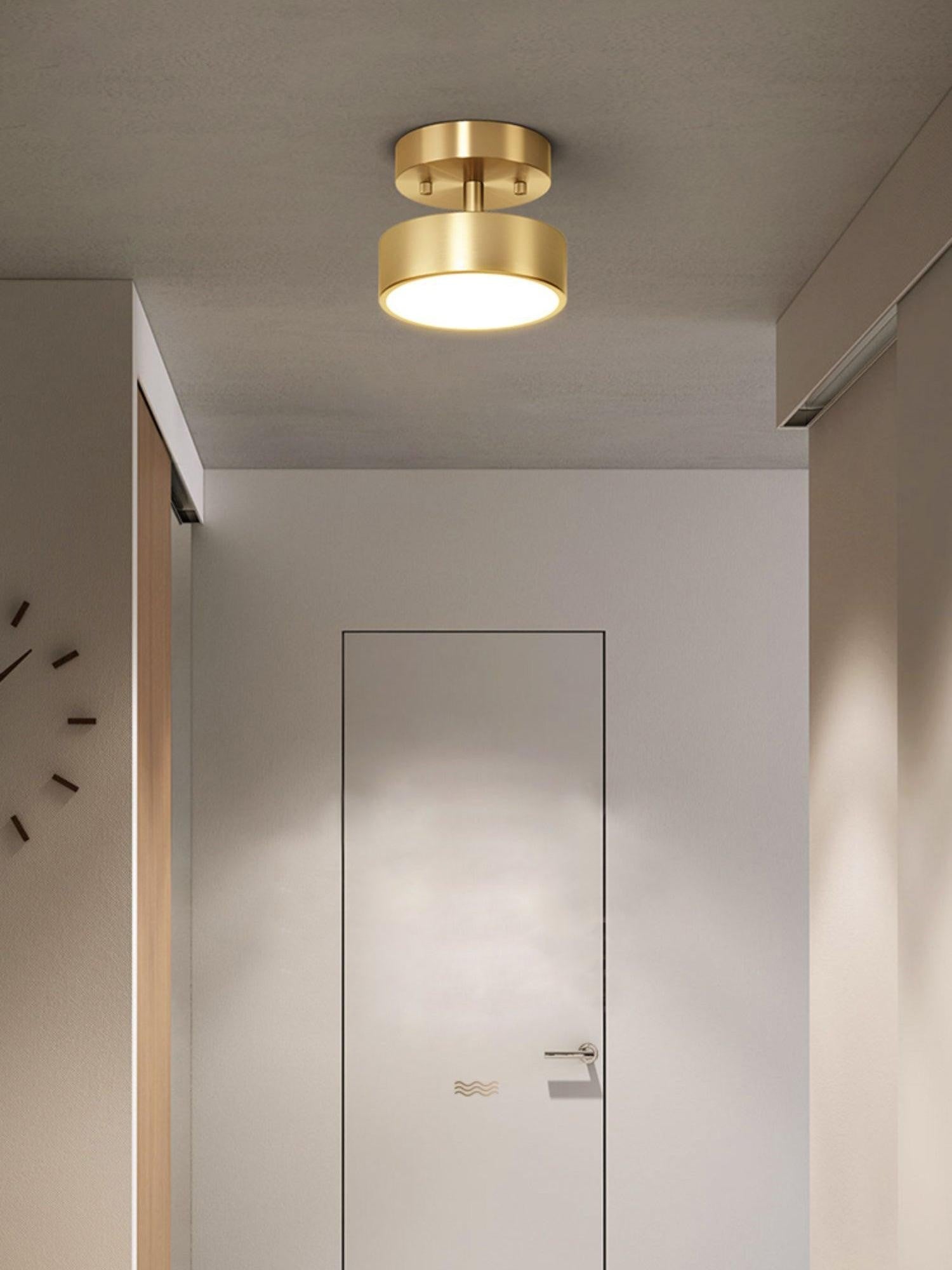Bravion Pivot Ceiling Spotlight