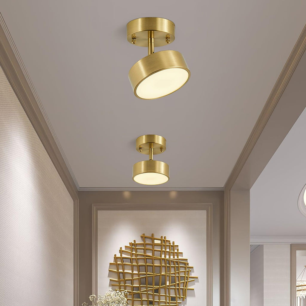 Bravion Pivot Ceiling Spotlight