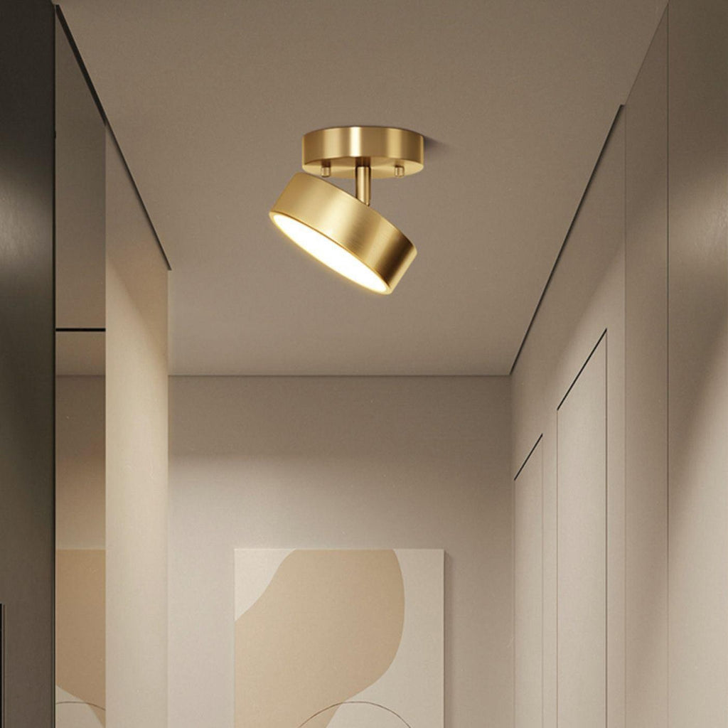 Bravion Pivot Ceiling Spotlight