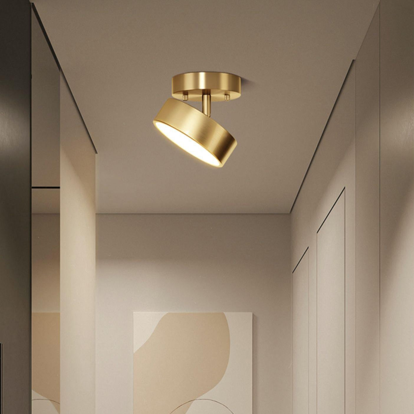 Bravion Pivot Ceiling Spotlight