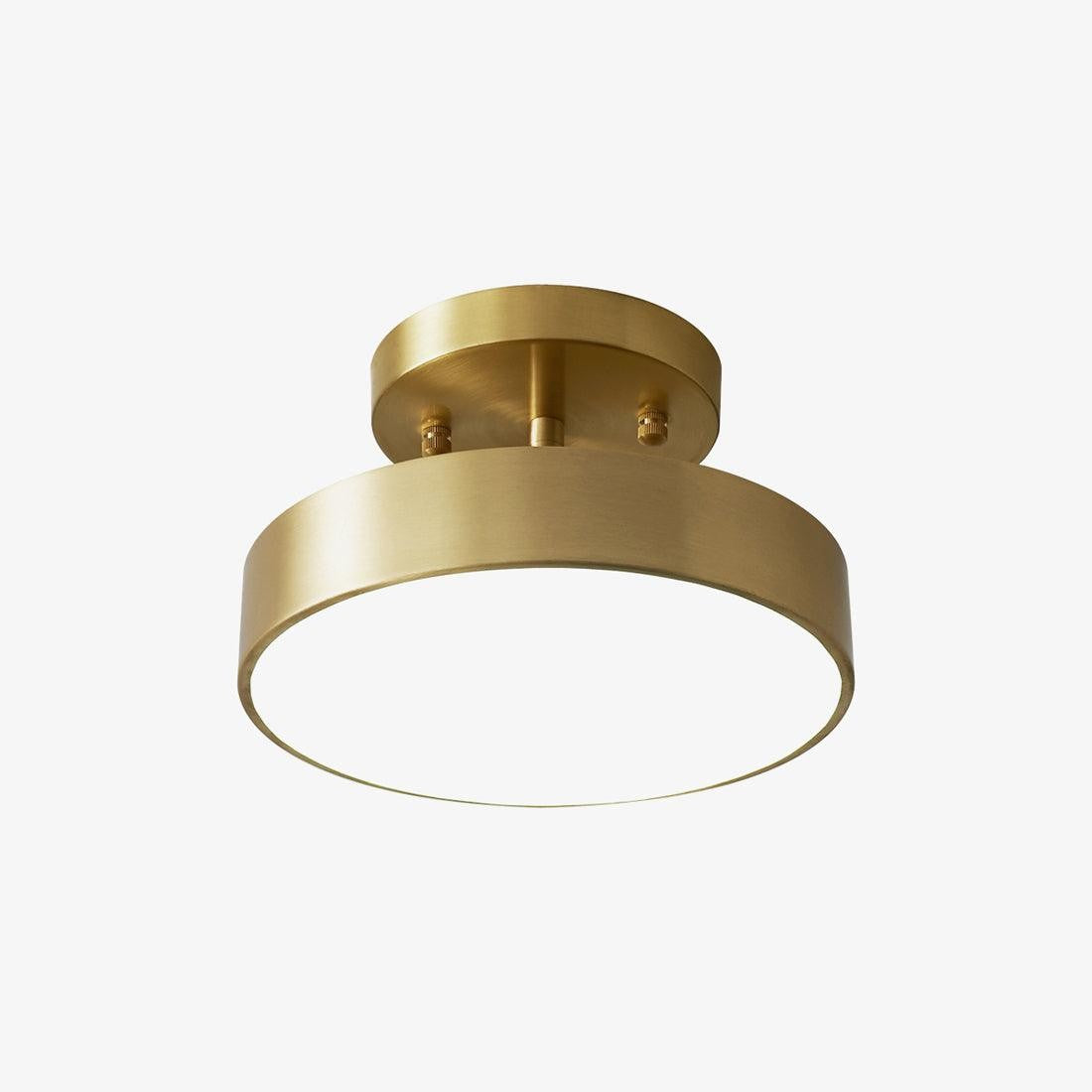 Bravion Pivot Ceiling Spotlight