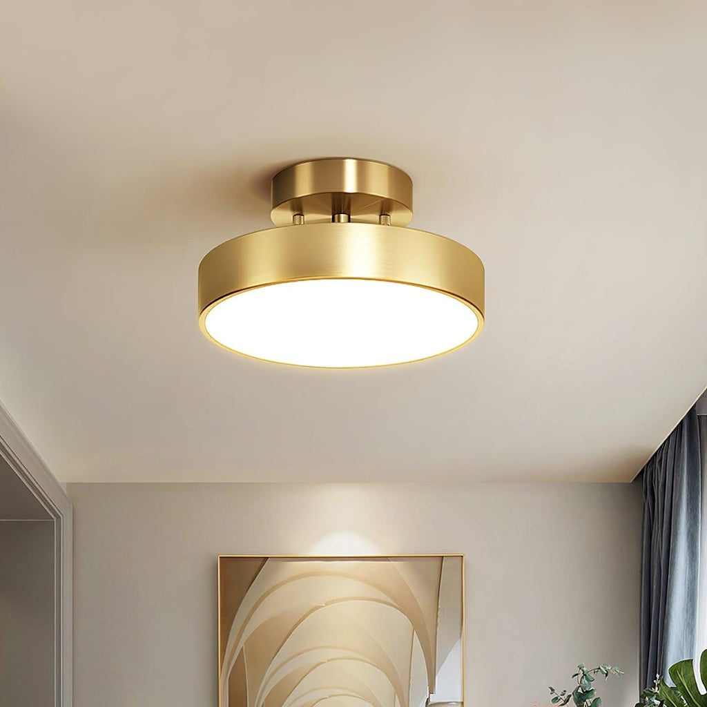 Bravion Pivot Ceiling Spotlight