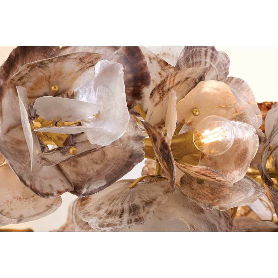 Corbett Lighting Galle 20 Light 54" Wide Abstract Chandelier with Oyster Shell Shades