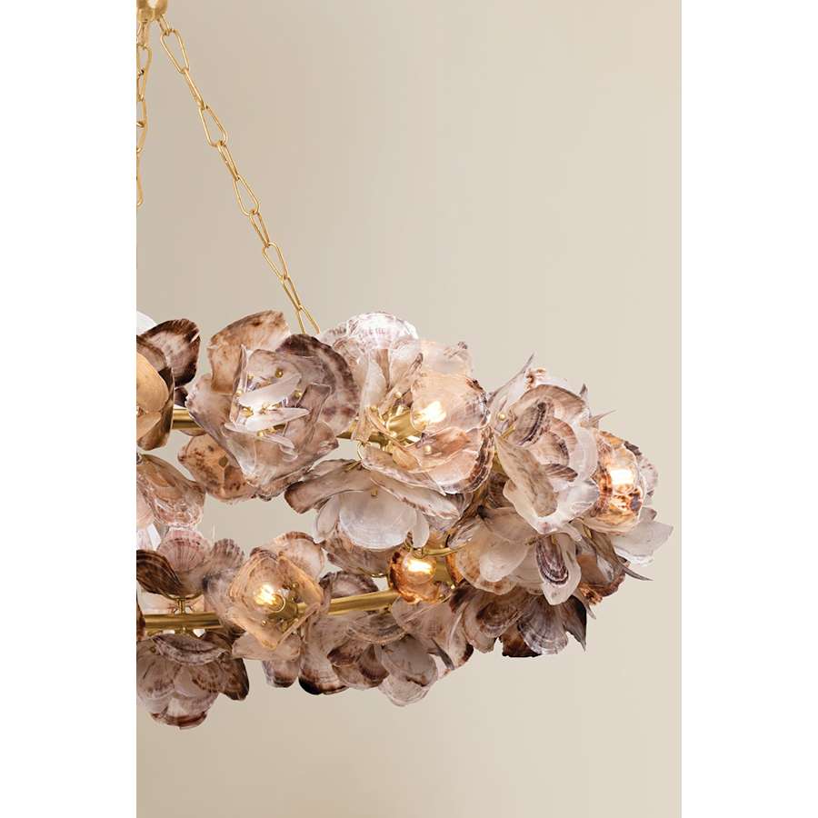 Corbett Lighting Galle 20 Light 54" Wide Abstract Chandelier with Oyster Shell Shades