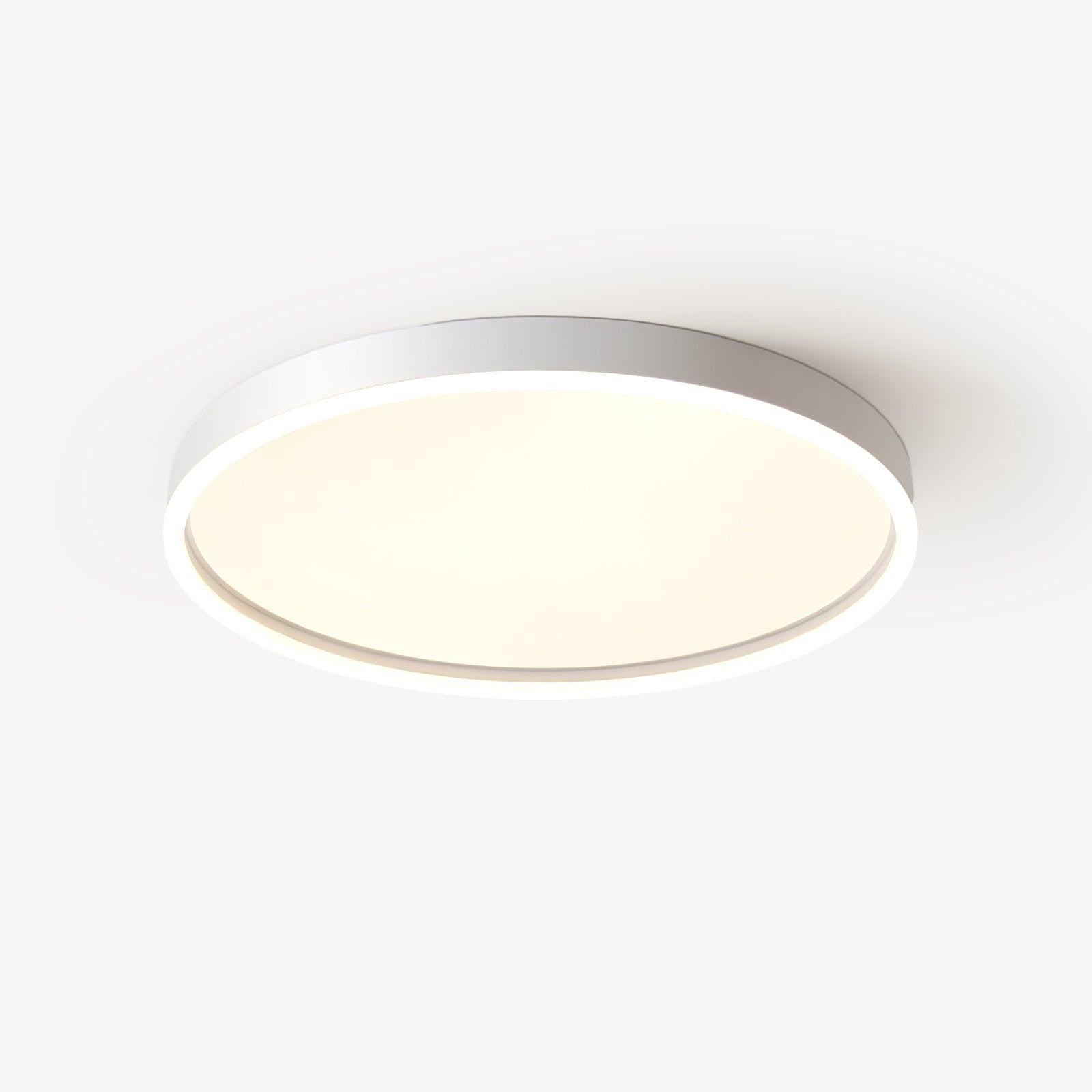 Haloedge Flush Mount Ceiling Light