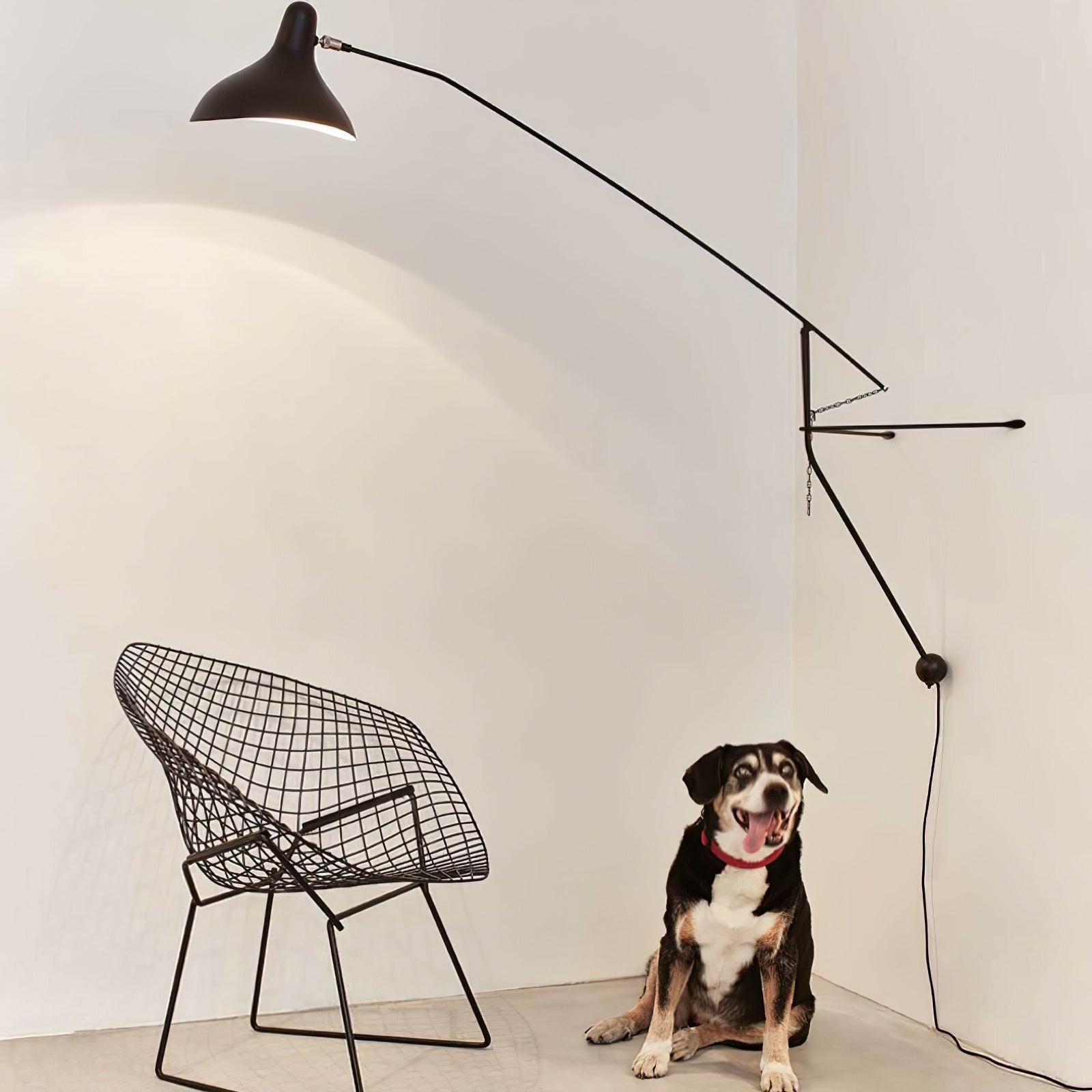 Heliora Adjustable Arm Wall Lamp