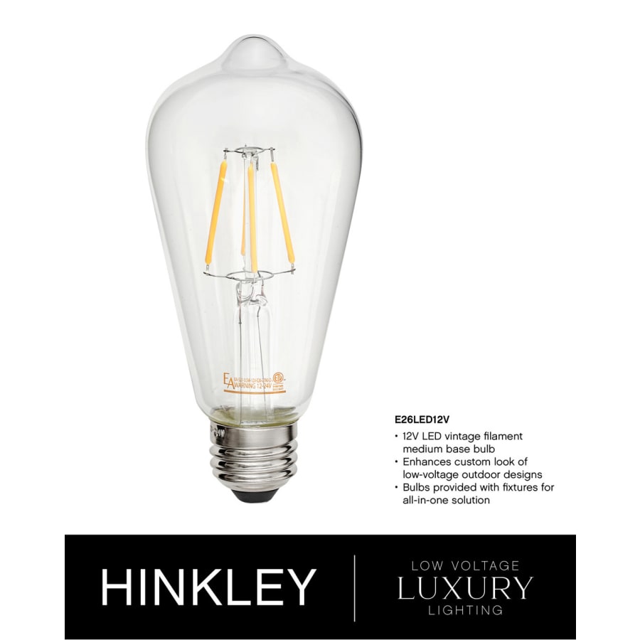 Hinkley Lighting Lakehouse 12v 21w 6 Light 42" Wide Open Air LED Outdoor Chandelier