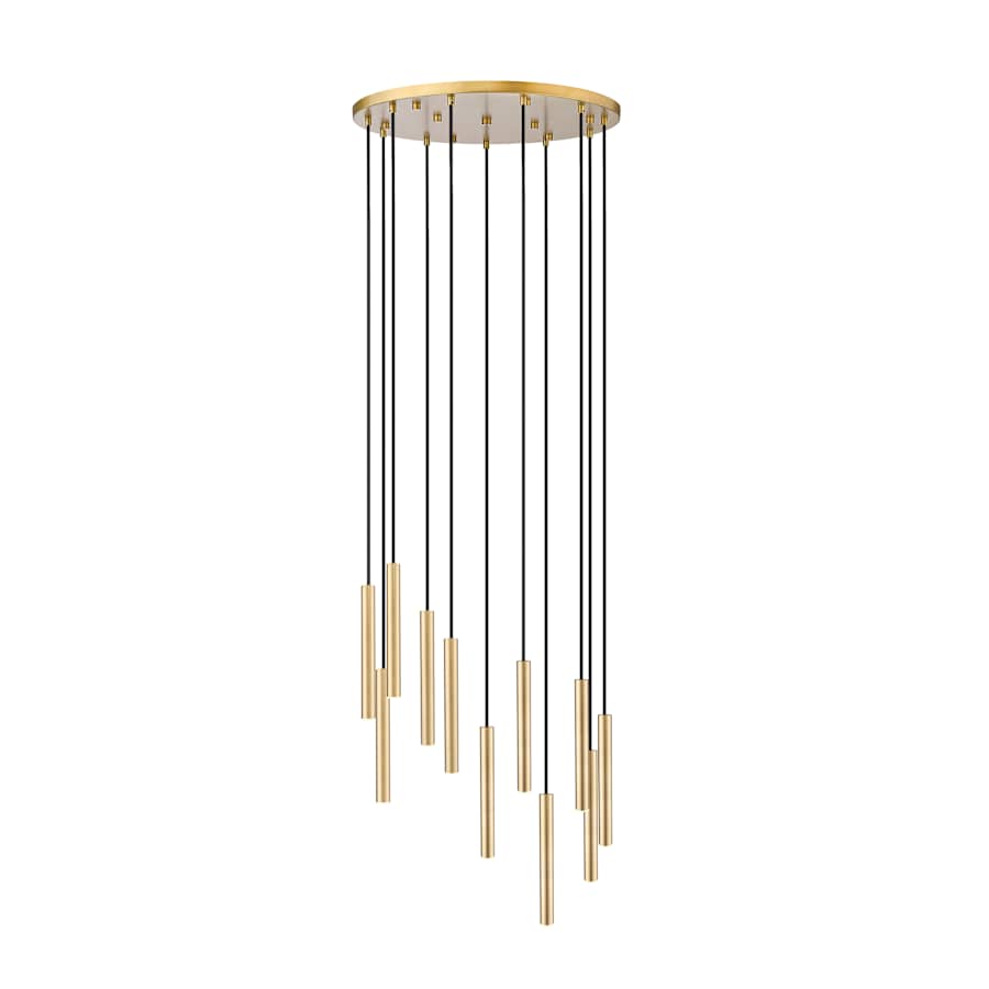Z-Lite Forest 24" Wide Chandelier